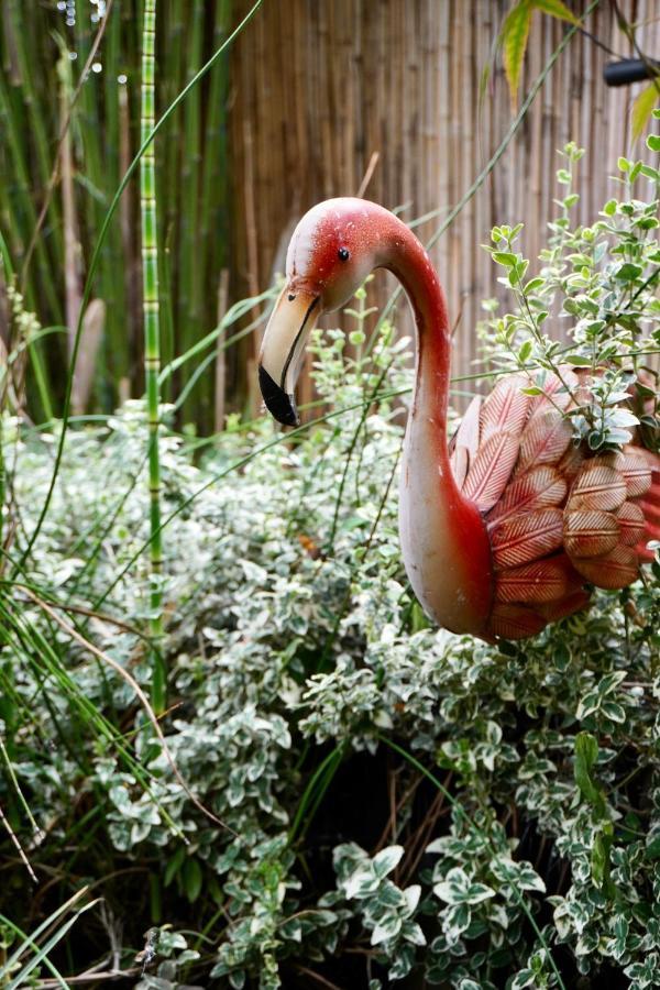 Jungle Stay In A Hidden Paradise Zwijndrecht Exterior foto