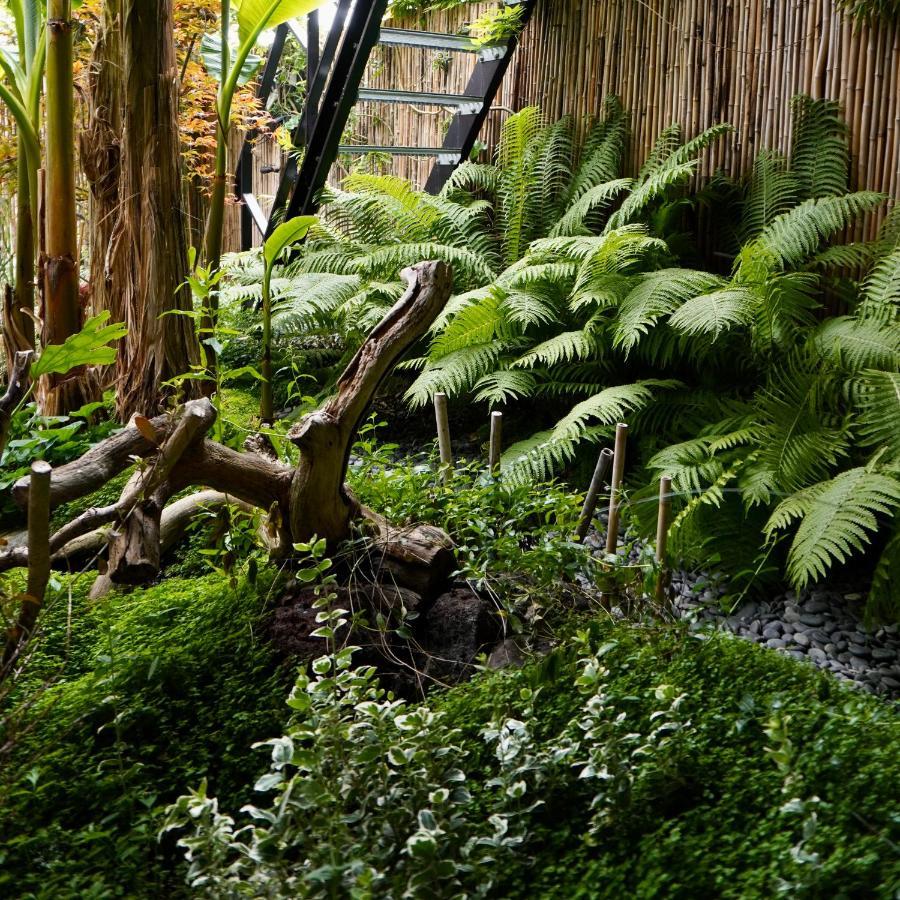 Jungle Stay In A Hidden Paradise Zwijndrecht Exterior foto